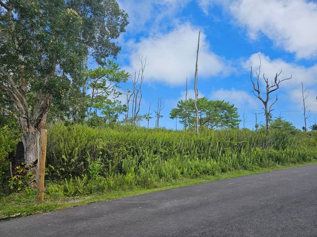 $30,000 | 21 Luana Street | Leilani Estates