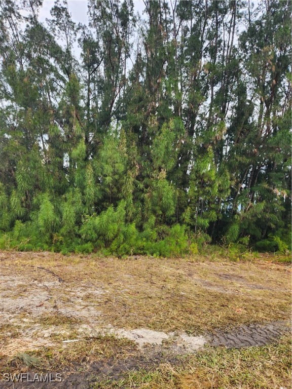 a view of a yard with a tree