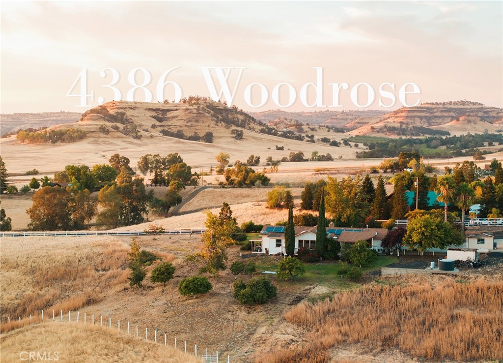 4386 Woodrose