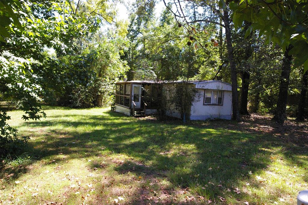 a view of a backyard with large trees and plants