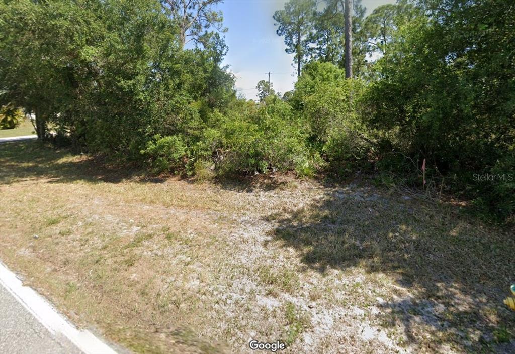 a view of a yard with trees