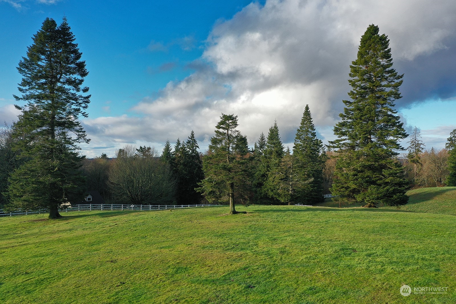 a view of a green field