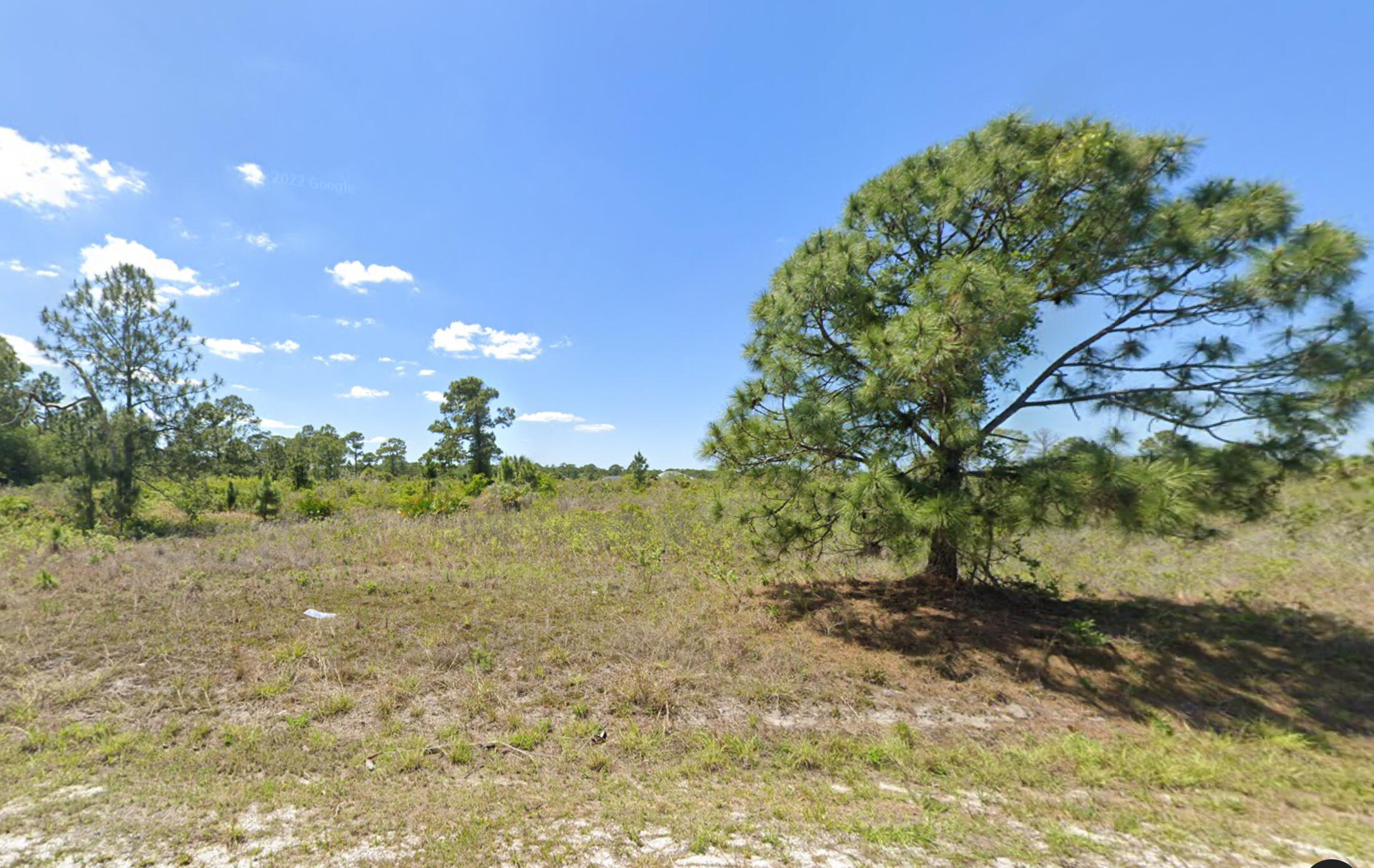 a view of a field with an trees