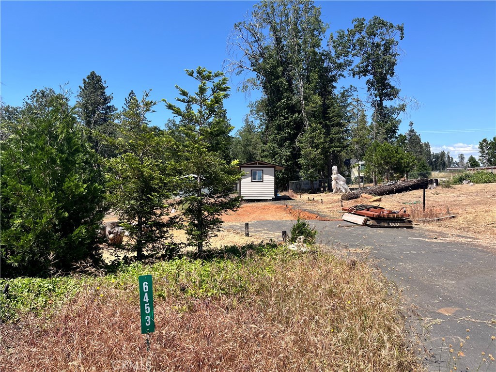 a view of yard with tree s