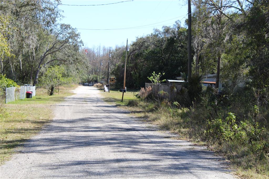 a view of a yard with a tree