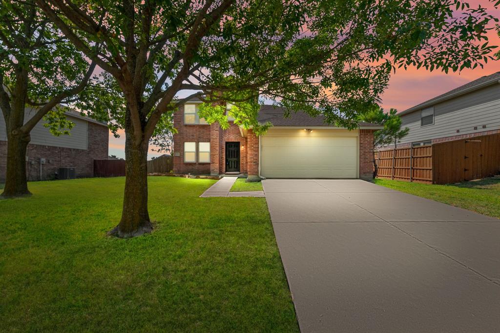 a backyard of a house with plants and large tree