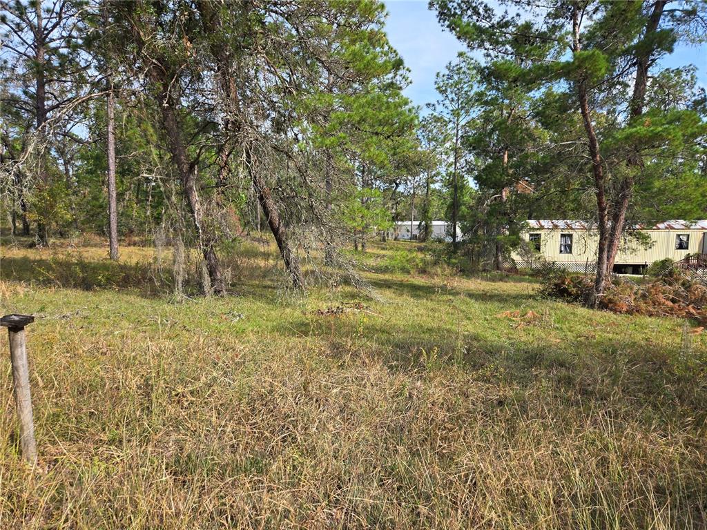 a view of backyard with green space