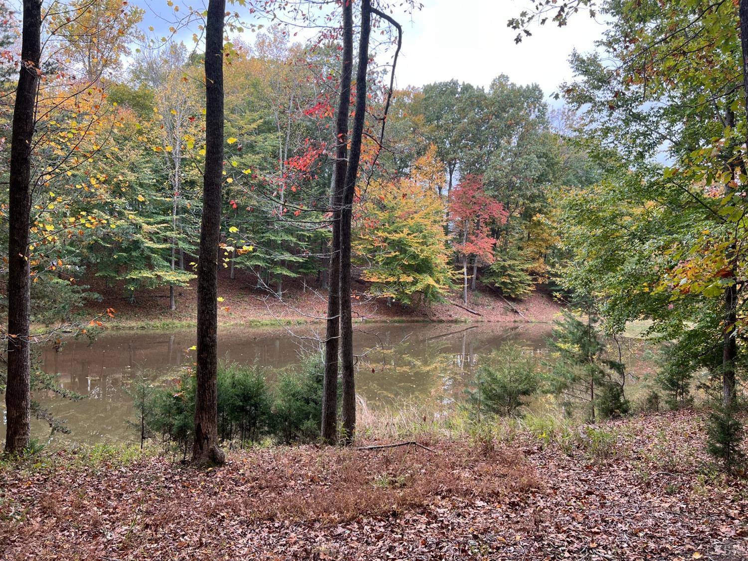 a view of lake from a window