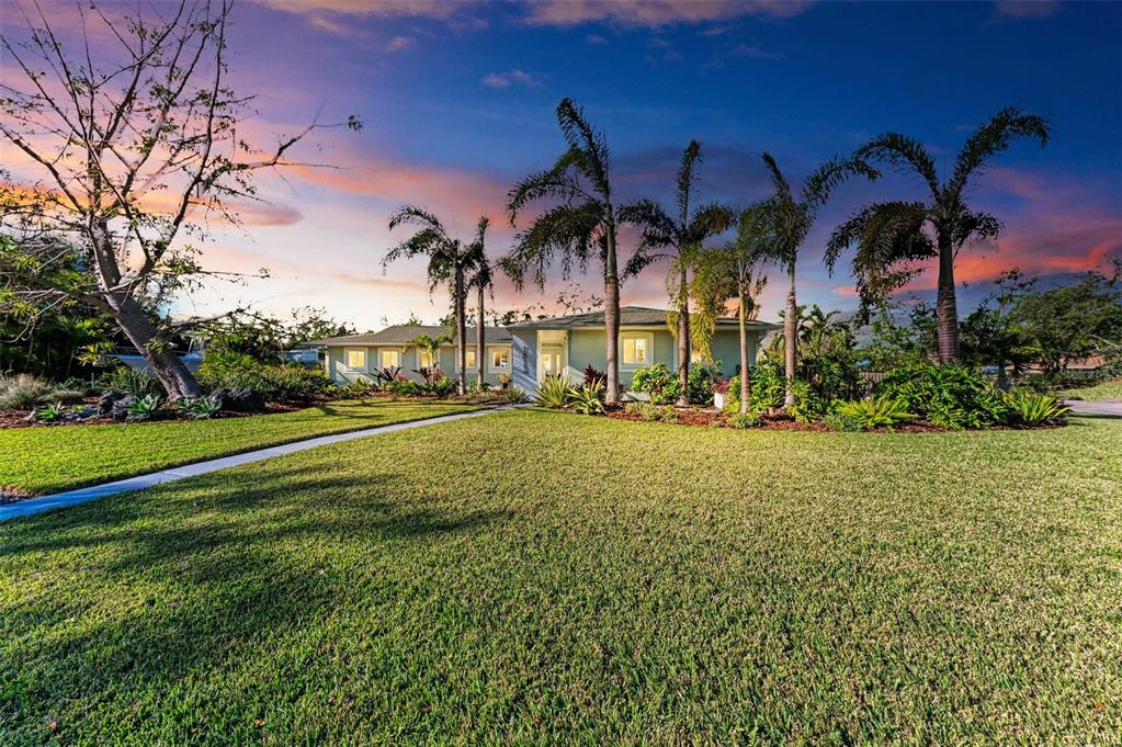 a view of a park with palm trees