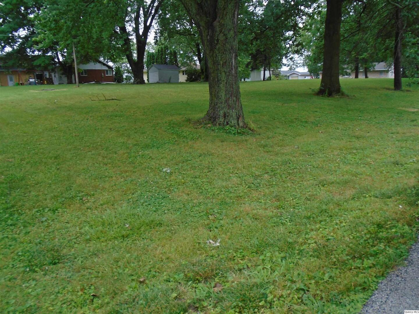 a view of grassy field with benches and trees