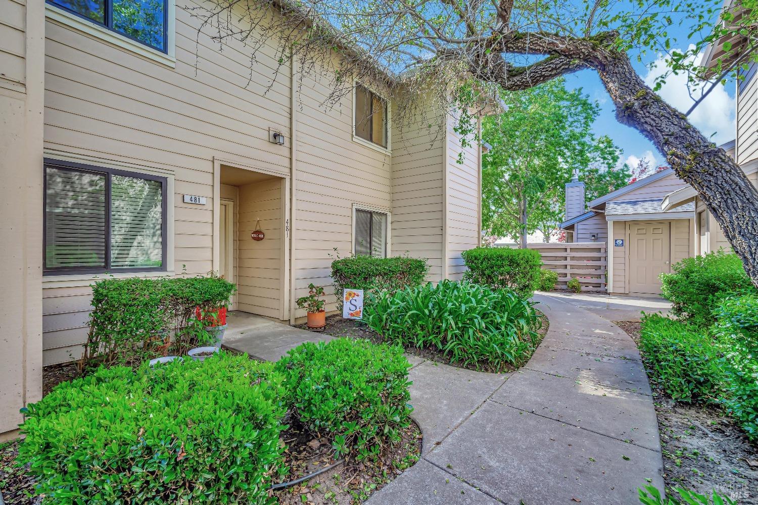 a view of a house with a yard and plants