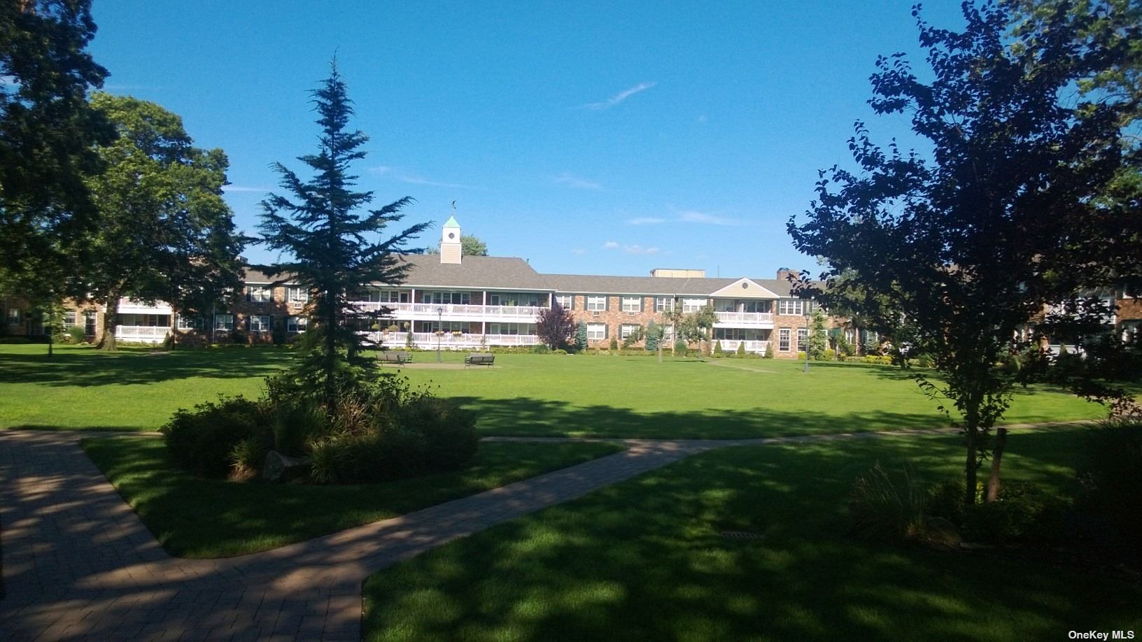 a view of a park that has a large trees