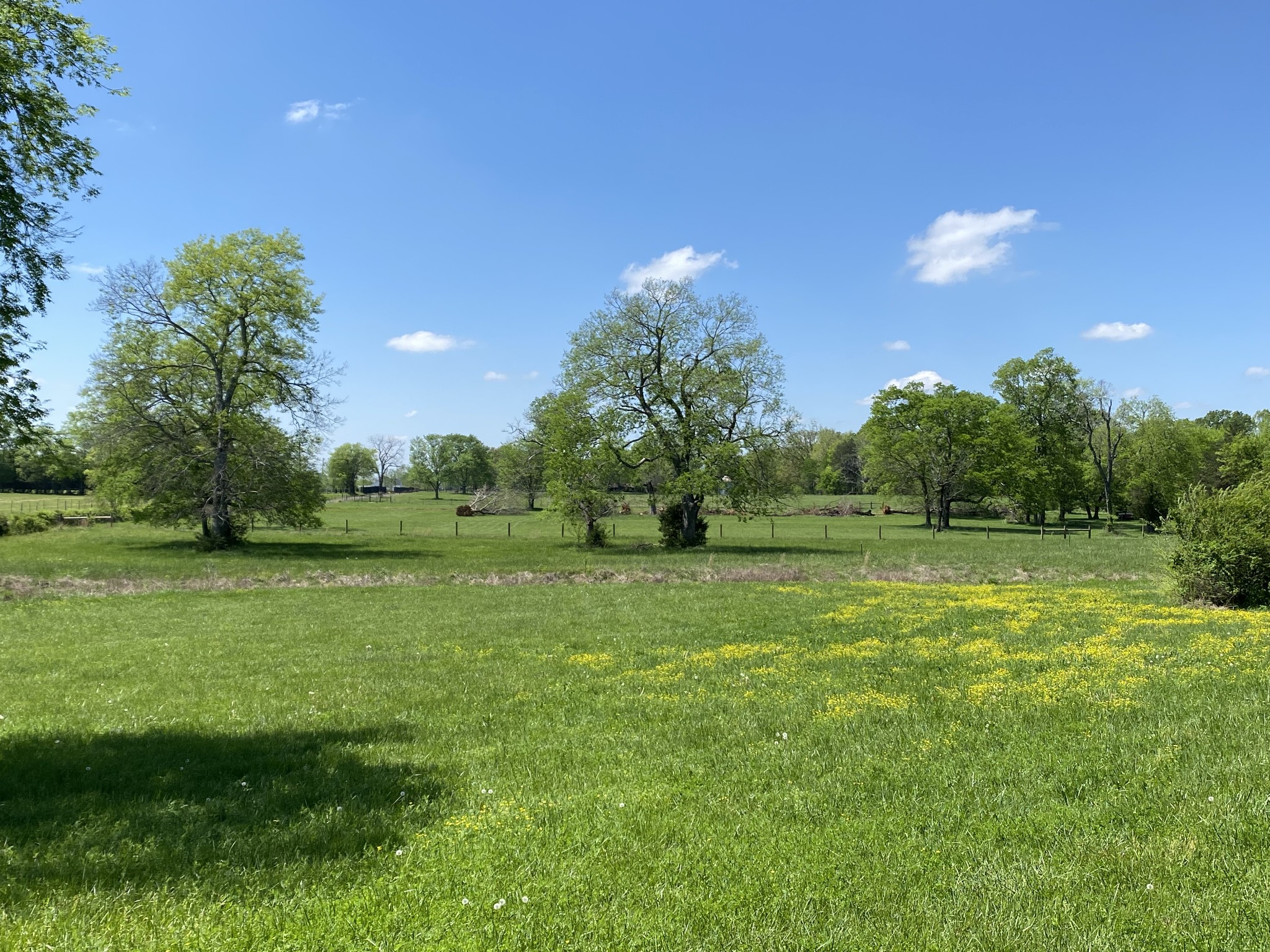 a view of field with green space