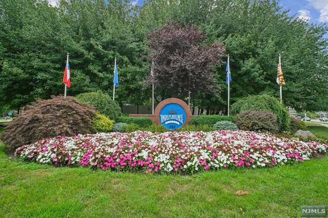 a view of a garden with flowers and trees