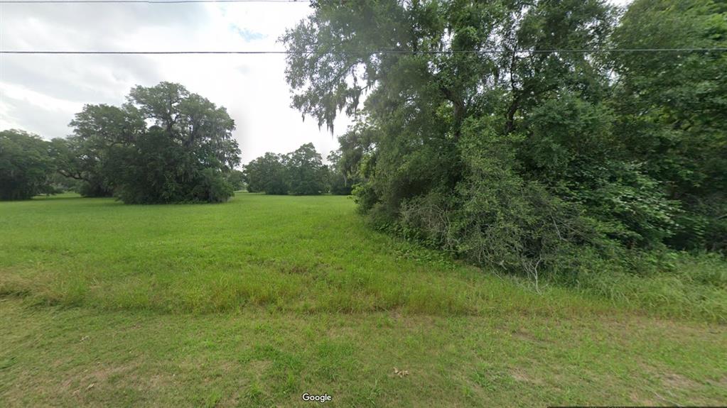 a view of a field with a tree in the background