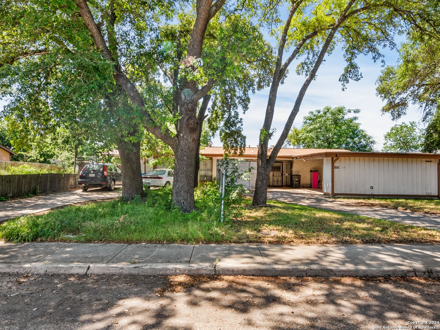 a yard with a tree