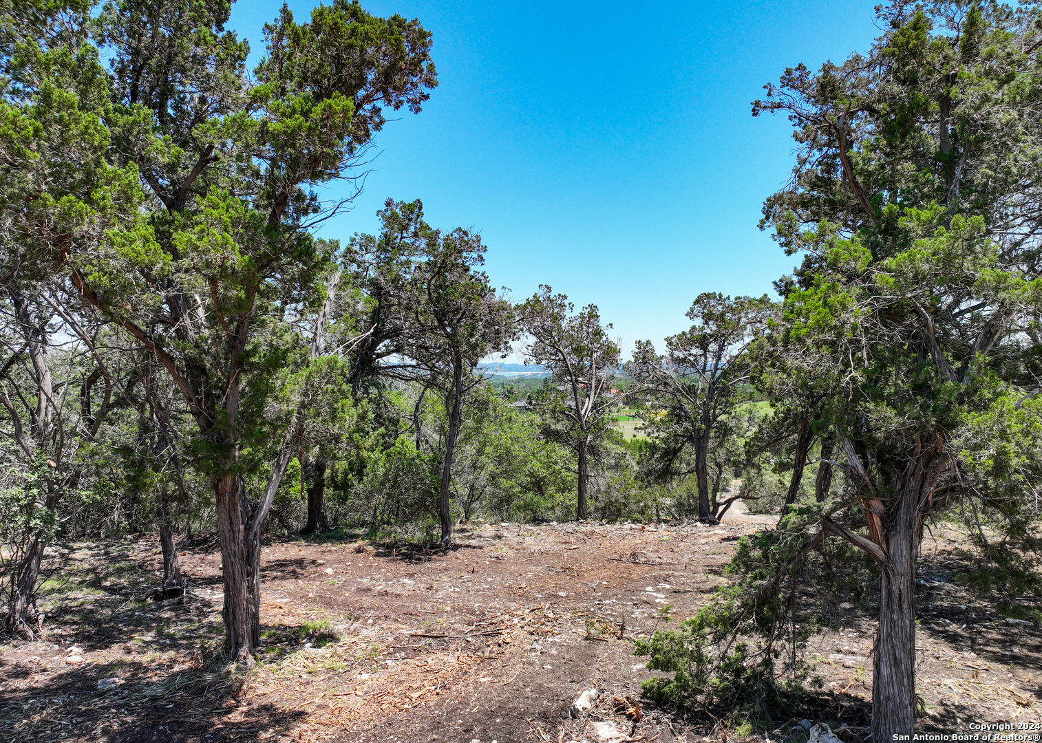 a view of a road with trees in the background