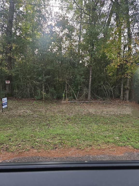 a view of a yard with a tree