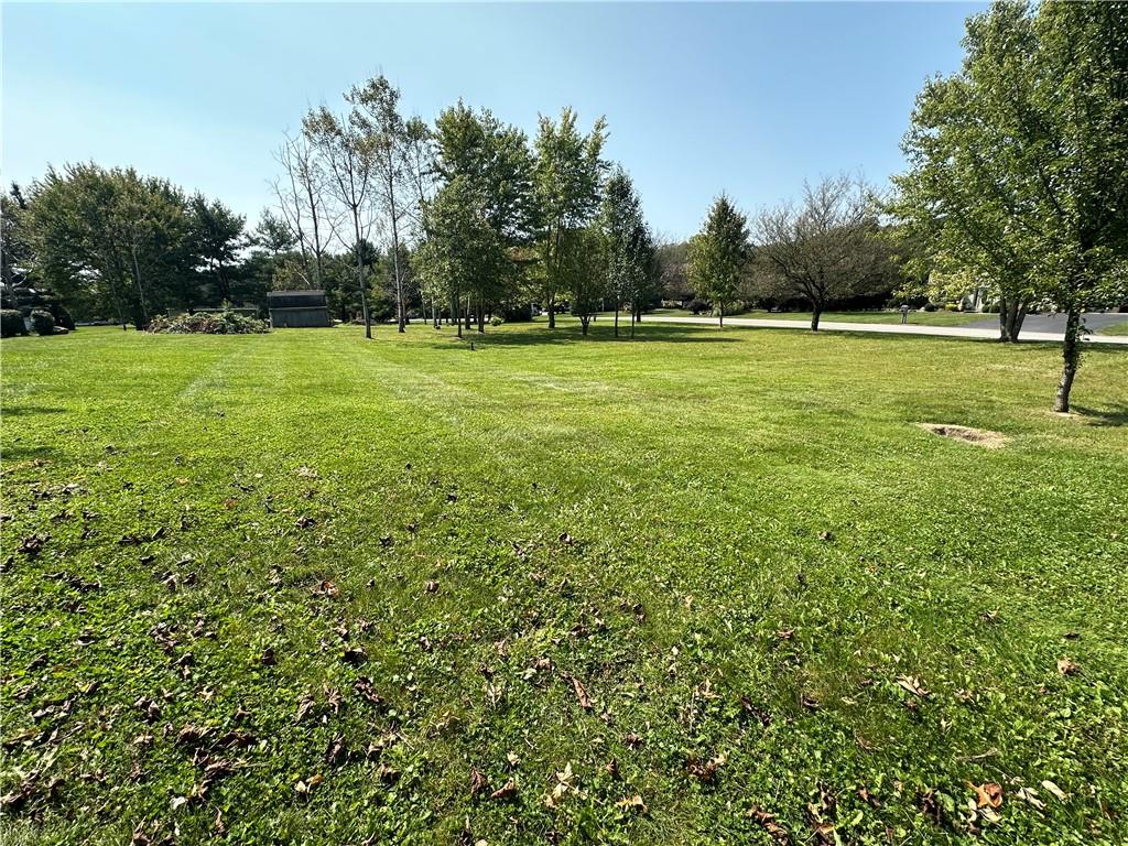 a view of a field with trees in the background