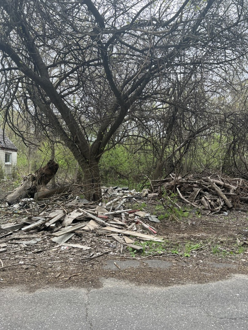 a view of outdoor space and yard