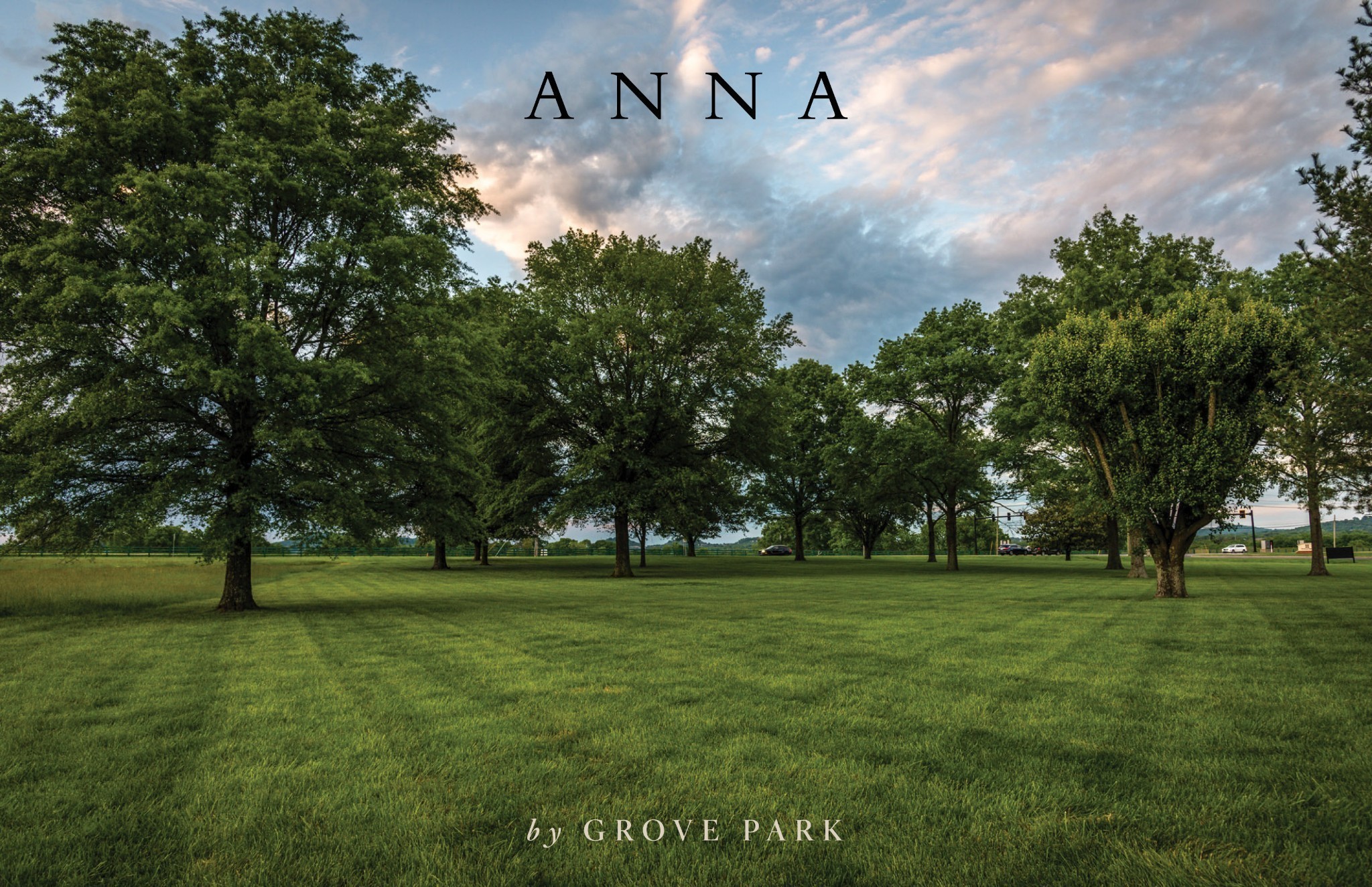 a grassy field with trees in the background