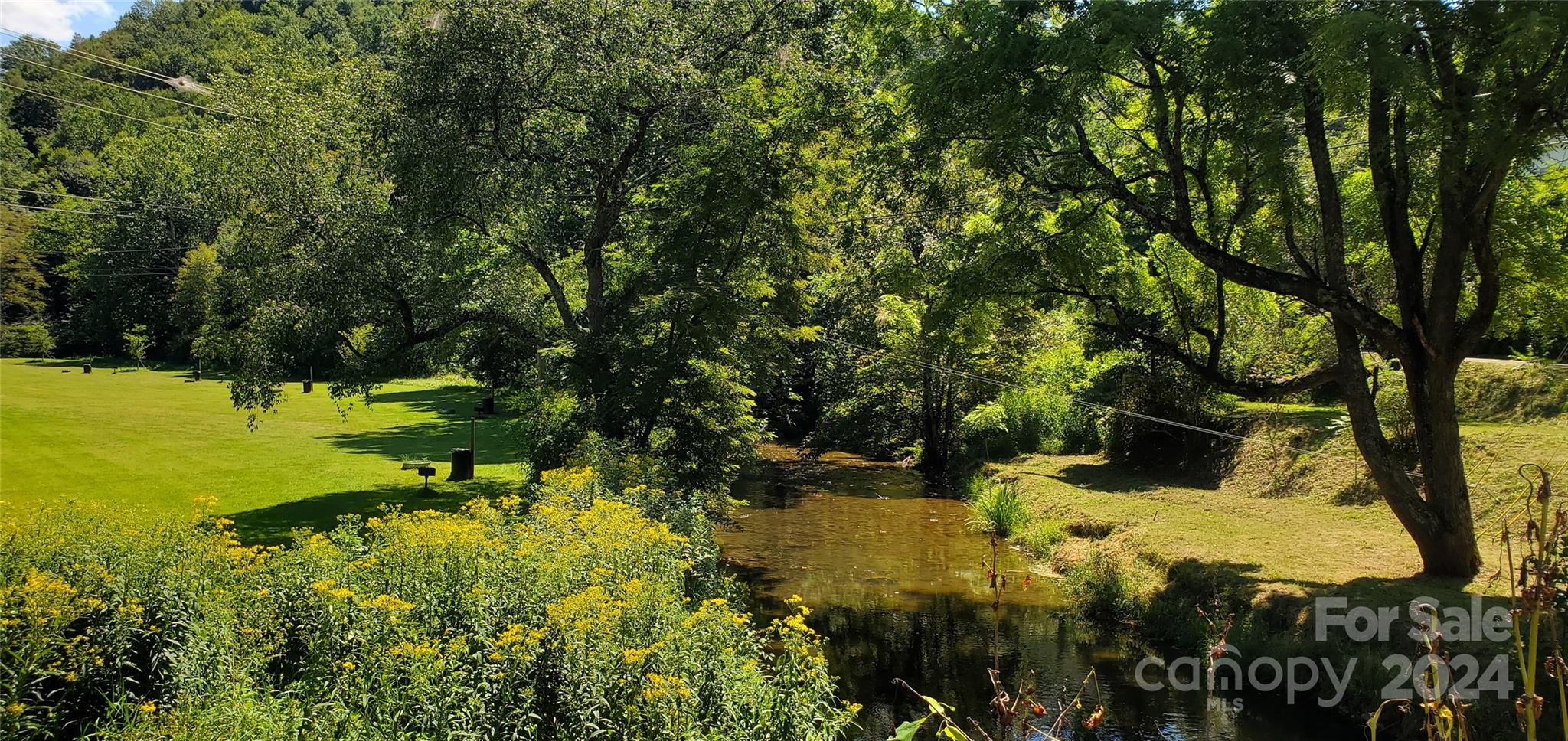 a view of a yard with large trees