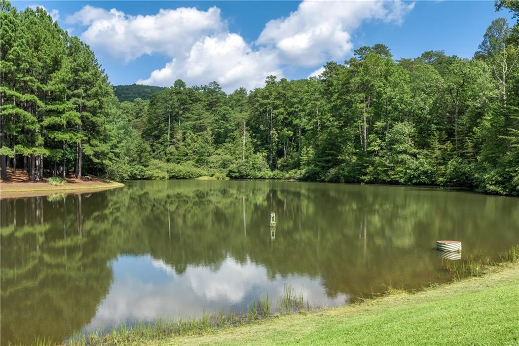 a view of a lake from a yard