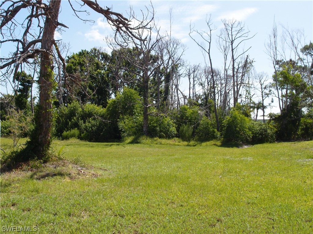 a view of an outdoor space and a yard