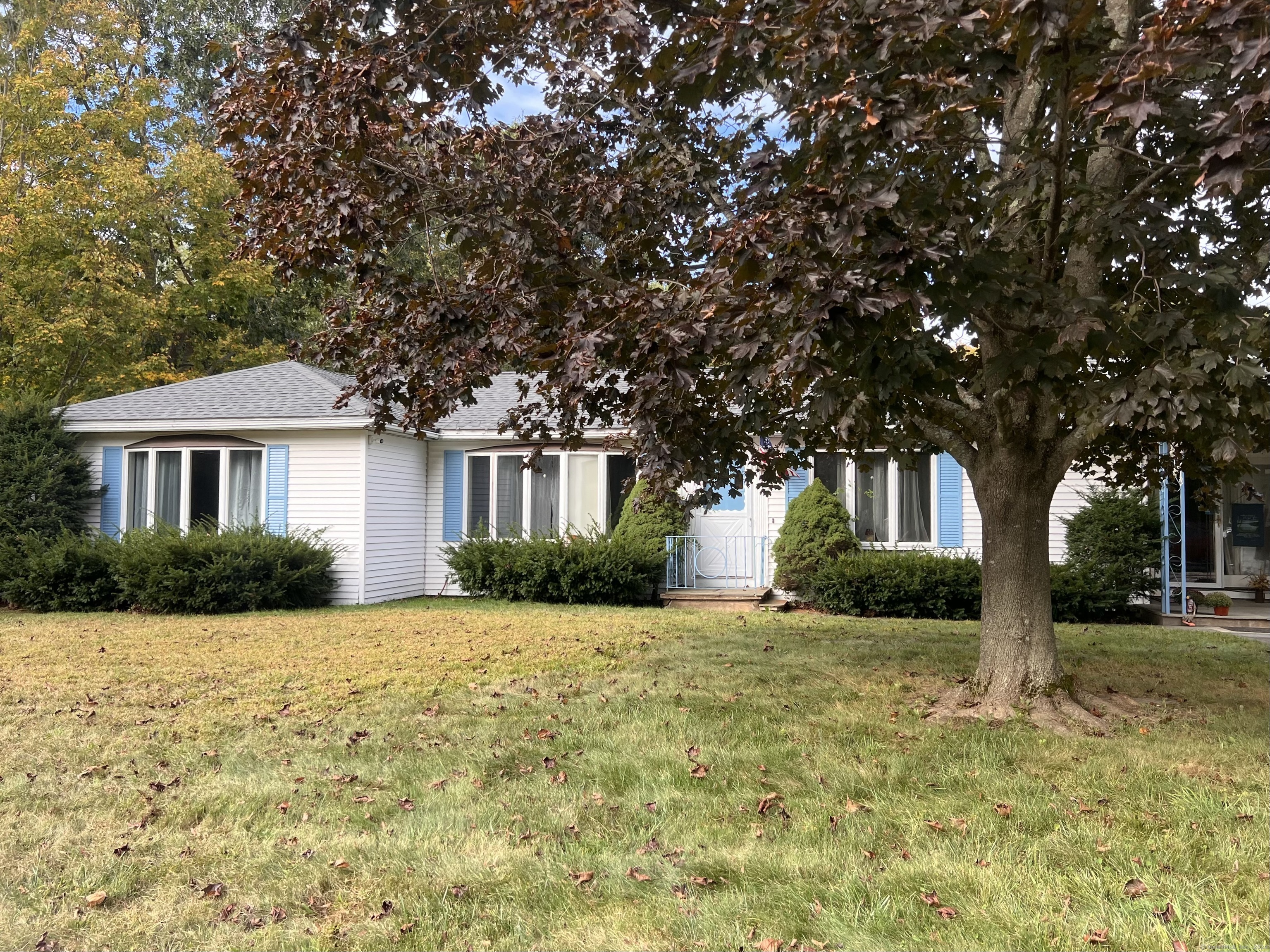 a front view of a house with a yard and trees