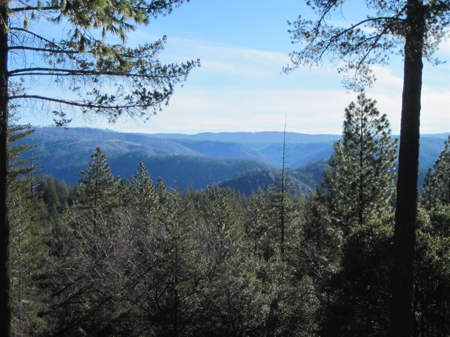 a view of a back yard