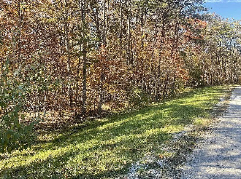 a view of a field with an trees