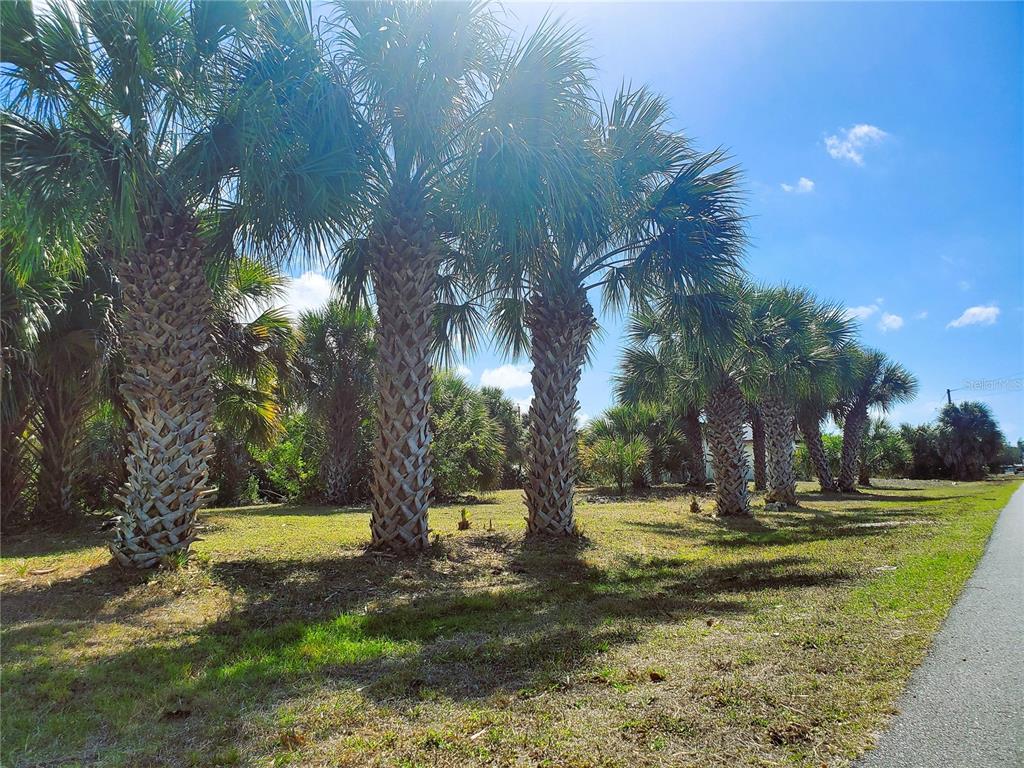 a view of outdoor space with trees