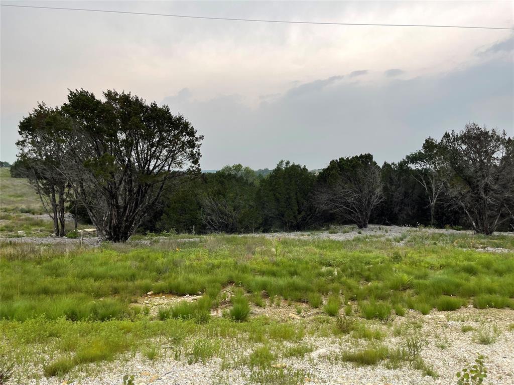 a view of a field with an trees