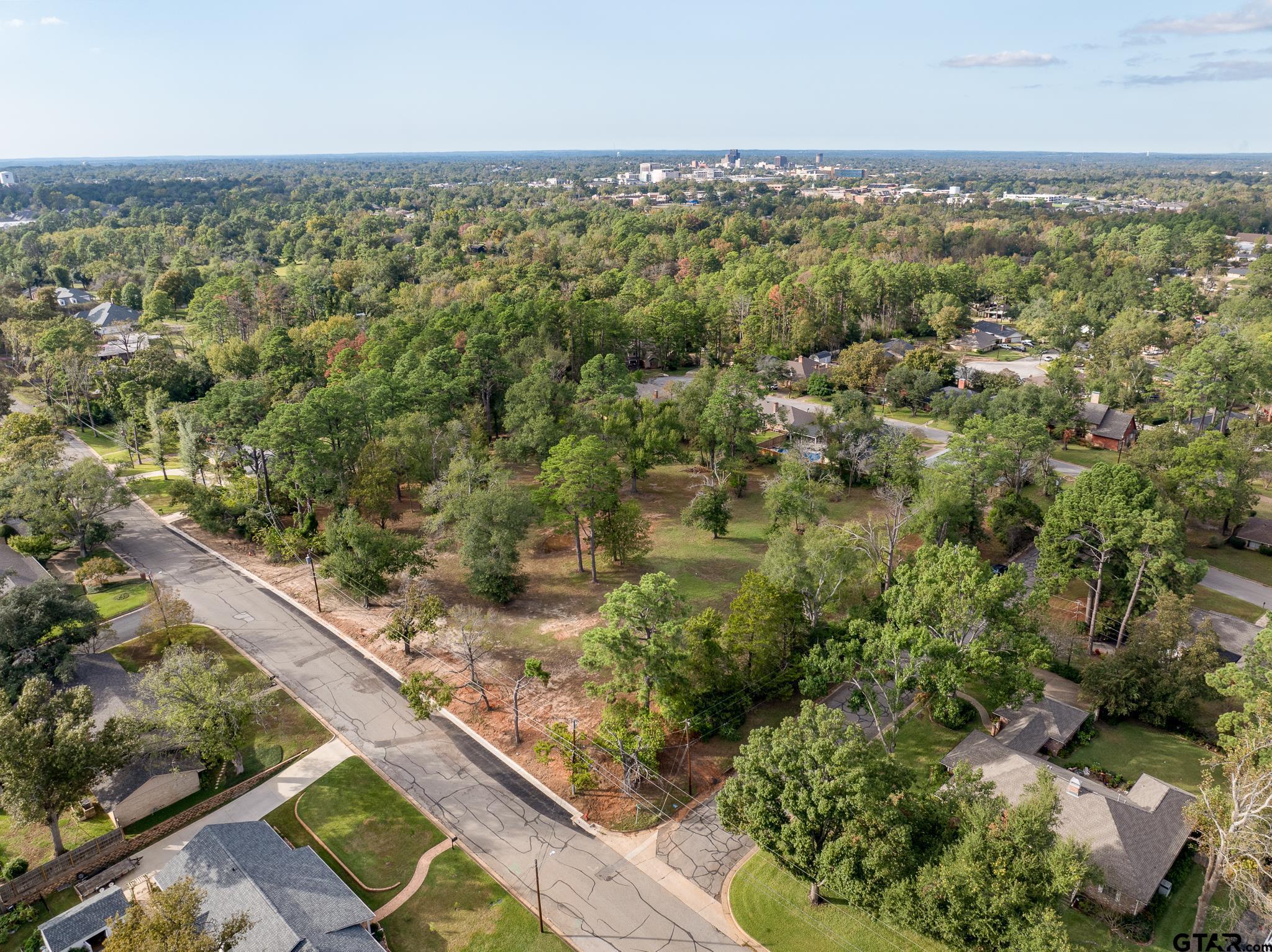 an aerial view of forest