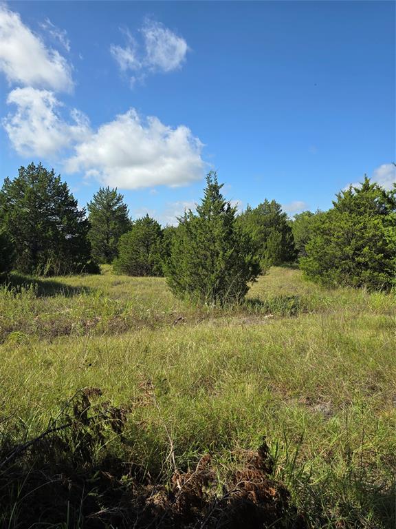 a view of a green field with lots of bushes