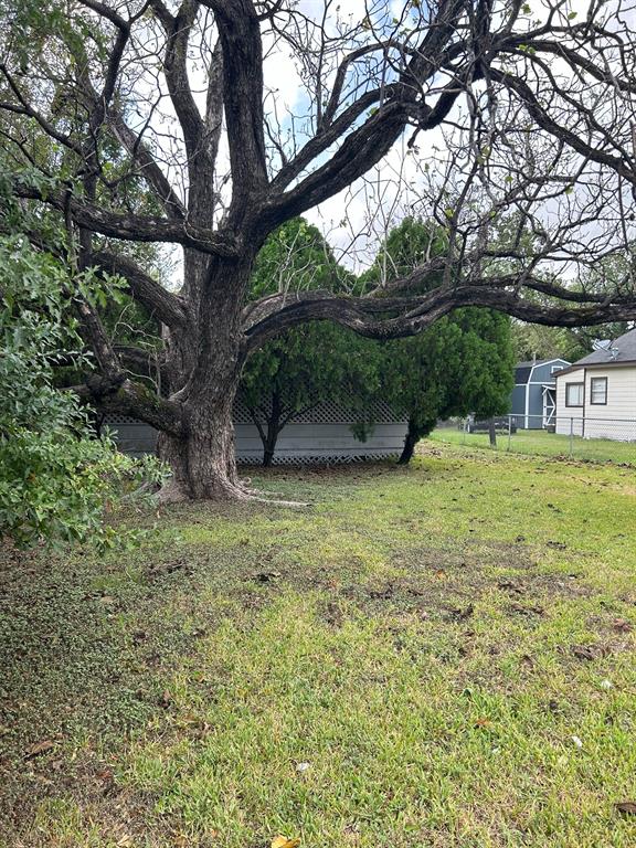 a view of a yard with a tree