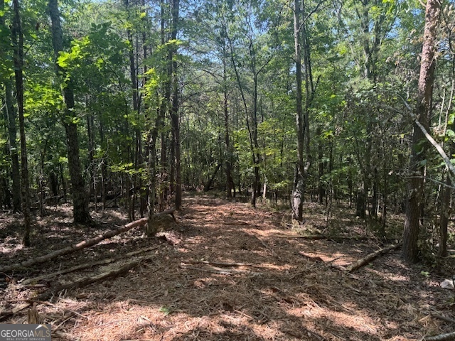 a view of a forest with trees