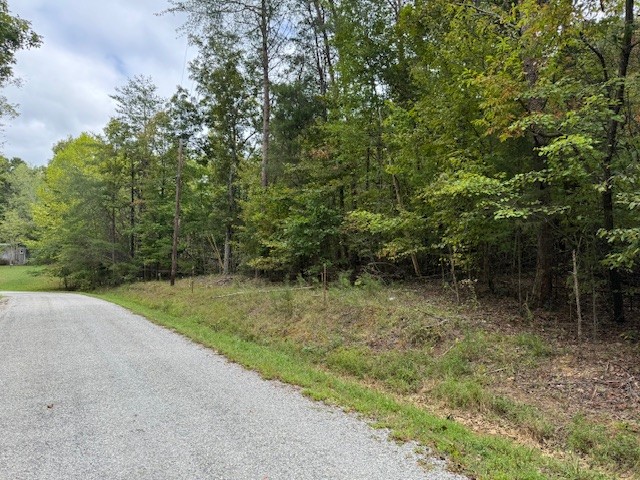 a view of a field with trees in the background