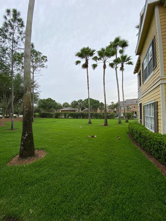 a view of a garden with a house