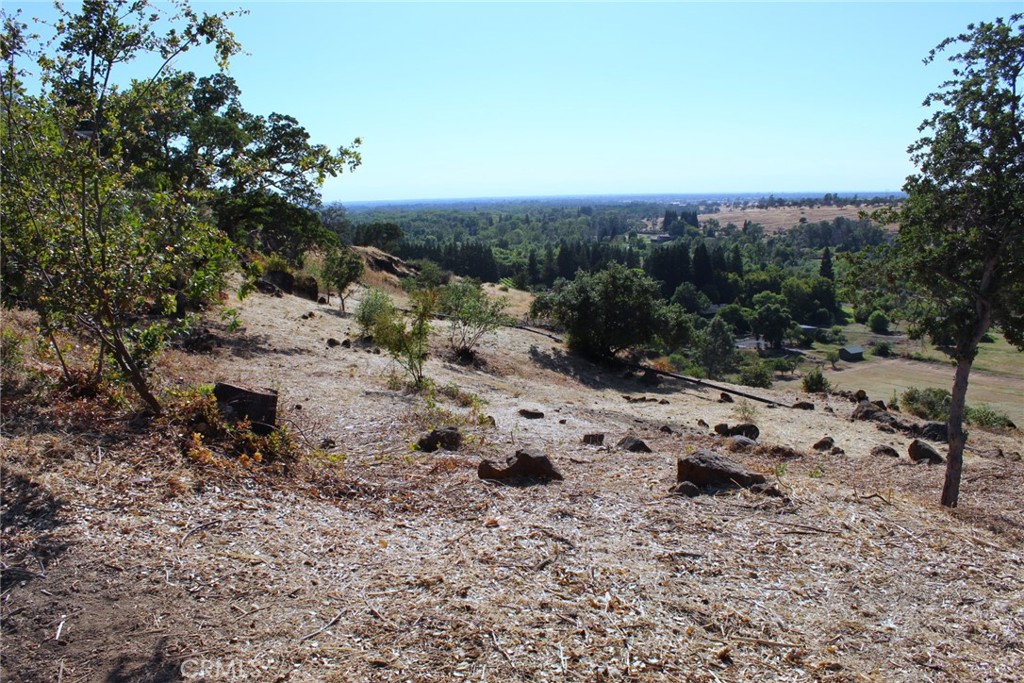 a view of a road with lots of trees