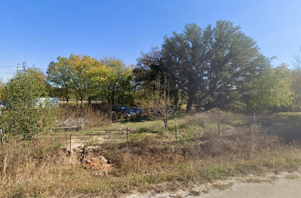 a view of backyard with green space