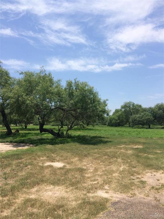 a view of a field of grass and trees