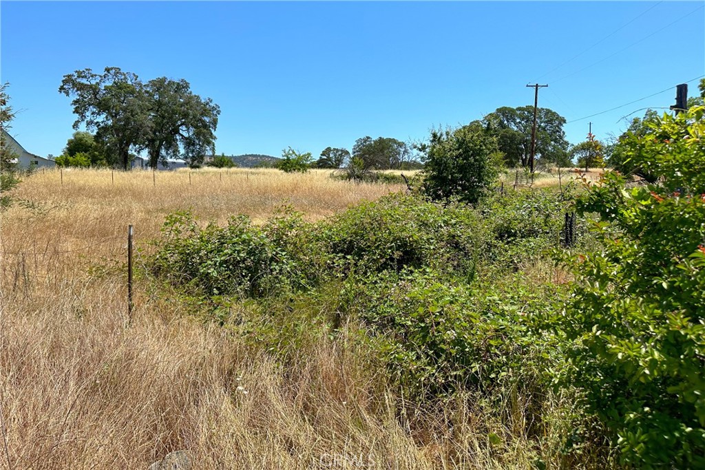 a view of a garden