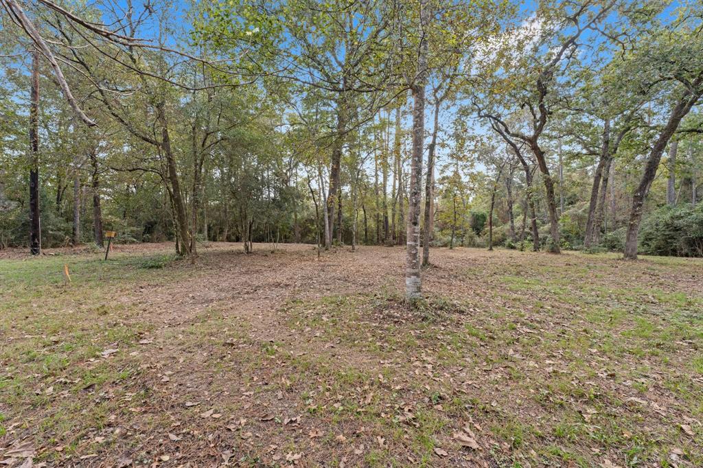 a view of outdoor space with trees