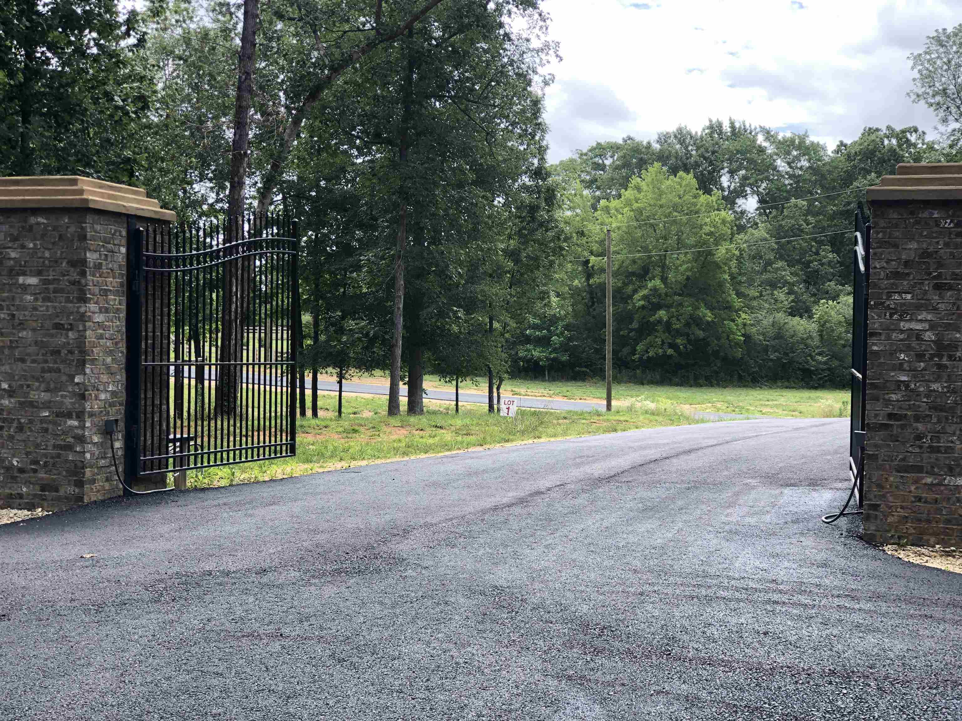 a view of a park with large trees