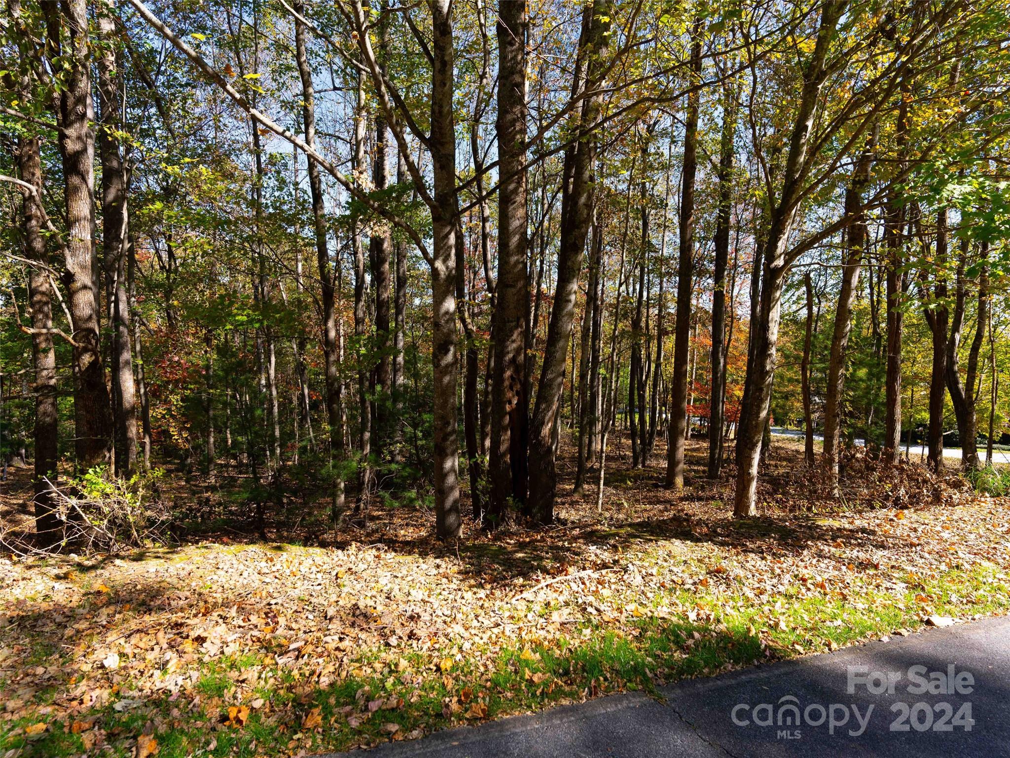 a view of outdoor space with trees