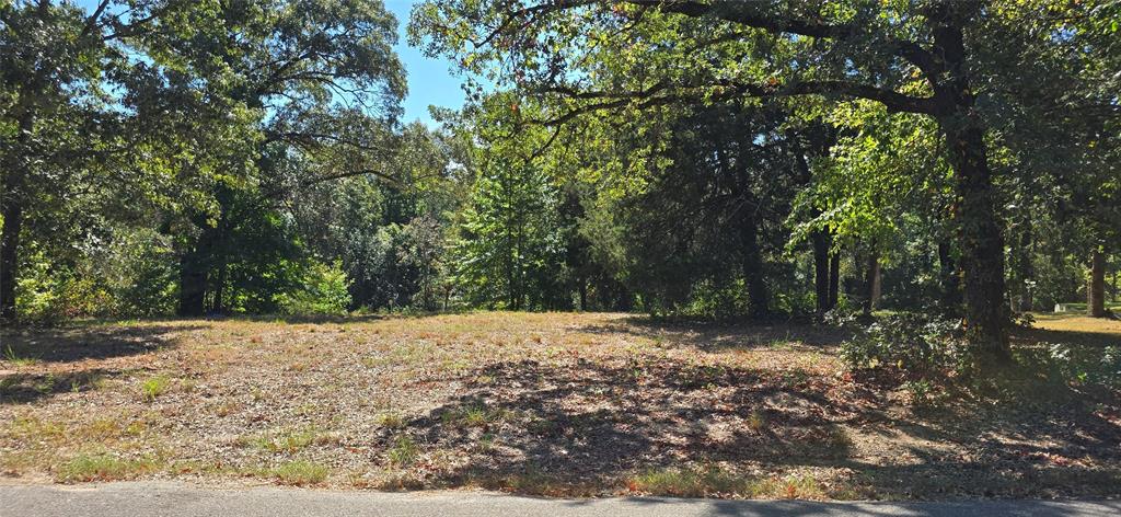 a view of a yard with trees