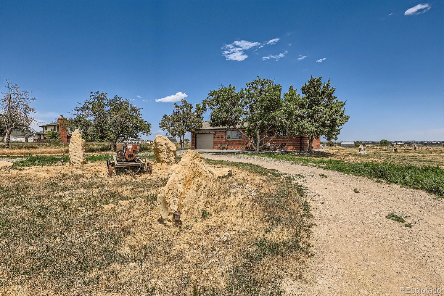 a view of a yard with a tree