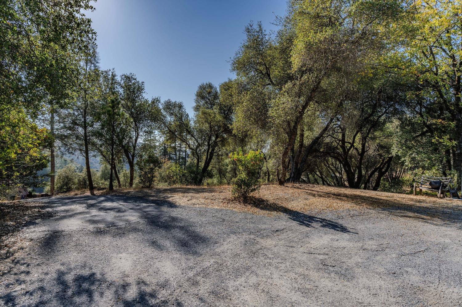 a view of a yard with a tree