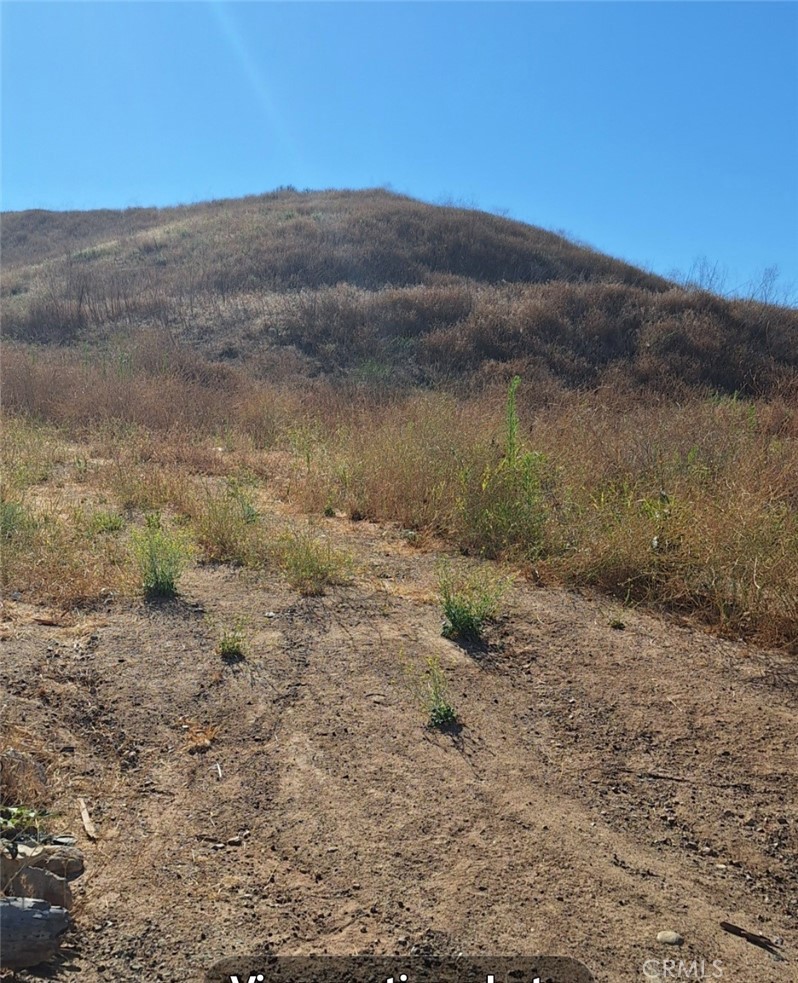 a view of a dry field with trees in the background